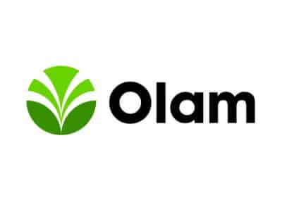 Olam